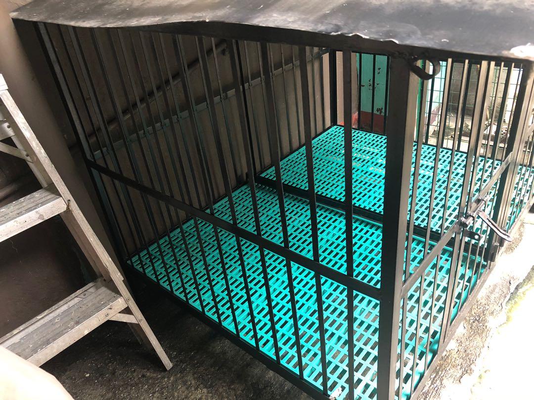 Dog Cage - Kulungan ng Aso, Pet Supplies, Homes & Other Pet Accessories