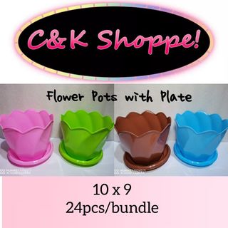 Self Watering Pot Gardening Garden Tools Supplies On Carousell