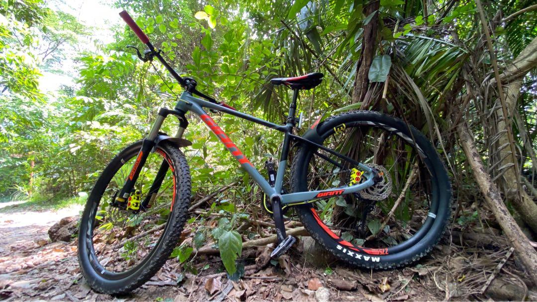 giant fathom 2 green