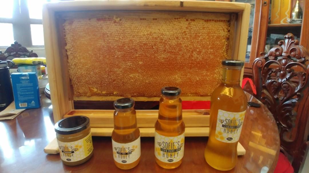 Bee Colony for sale Apis mellifera, Community on Carousell