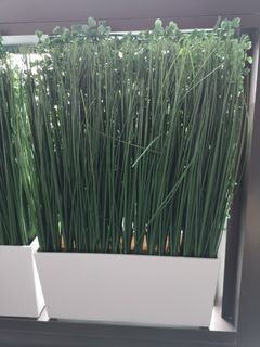 （分類：）位於 。 由 orangeoct 提交（商品編號 1027534928，圖片 1）。簡介： 。