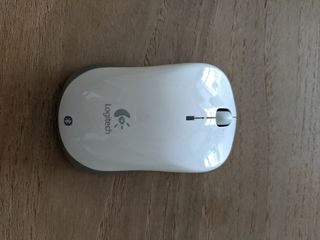 （分類：）位於 。 由 tertle 提交（商品編號 1027533275，圖片 1）。簡介： 。