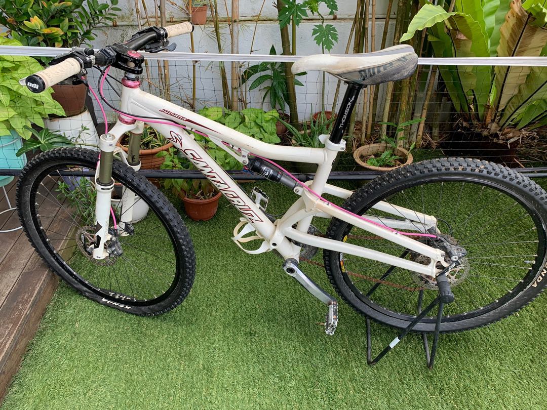santa cruz juliana for sale