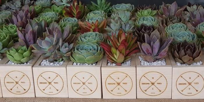 Succulents In Wooden Box Planters With Personalized Laser Engraved Logo Business Services Others On Carousell