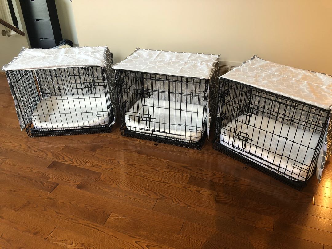 Dog Crates and Accessories For Sale!