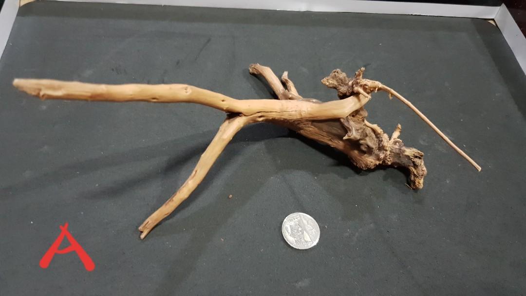 Driftwood Aquatic (Category: Homes & Other Pet Accessories) located in Cavite. Submitted by ildnumde (Listing ID 1027760485, Image 2). Description: Driftwoods for aquatic plants &Aquarium Decoration. A - Php 300 B - Php 800 -Sold C - Php 250 D - Php 500-sold E - Php 350-sold F - Php 500-sold Purchased from different Petshops and Aquarium supplier. To be used for setup, but change of Plans. District Mall Dasmarinas Cavite Area.