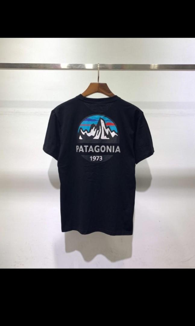 patagonia 1973 logo t-shirt
