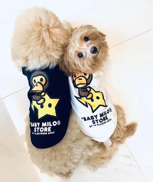 PREORDER BAPE Baby Milo Pet Tee Hoodie