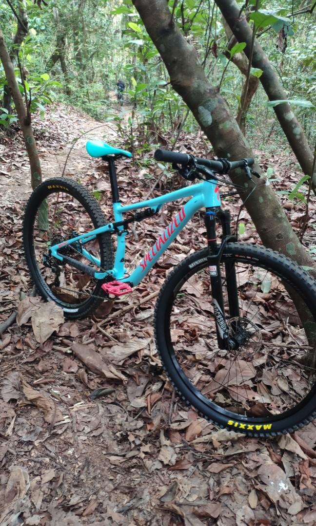 specialized mtb 29er