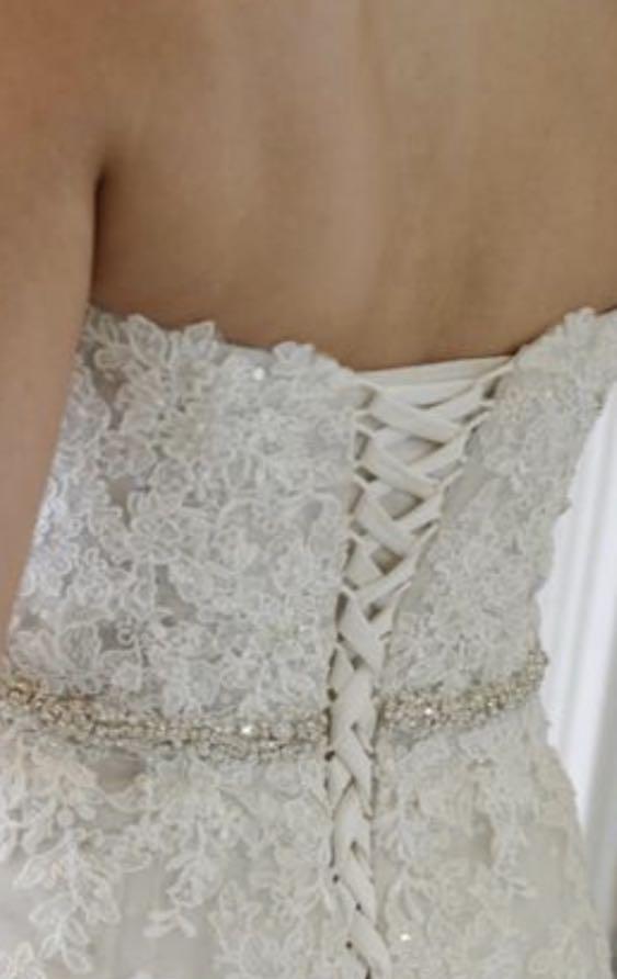 Sophia tolli prinia on sale