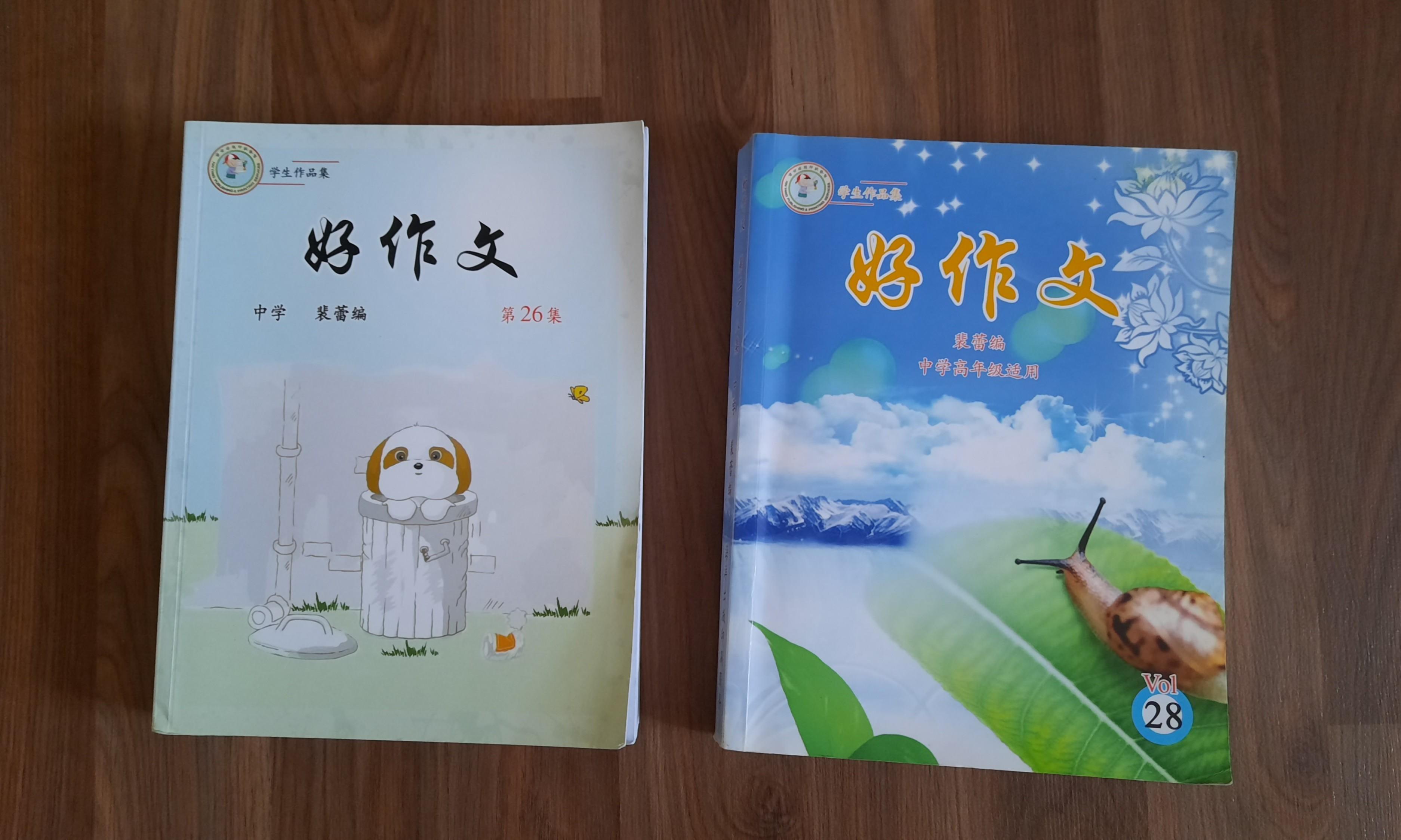 Secondary School Chinese compo and email assessment reference, Hobbies