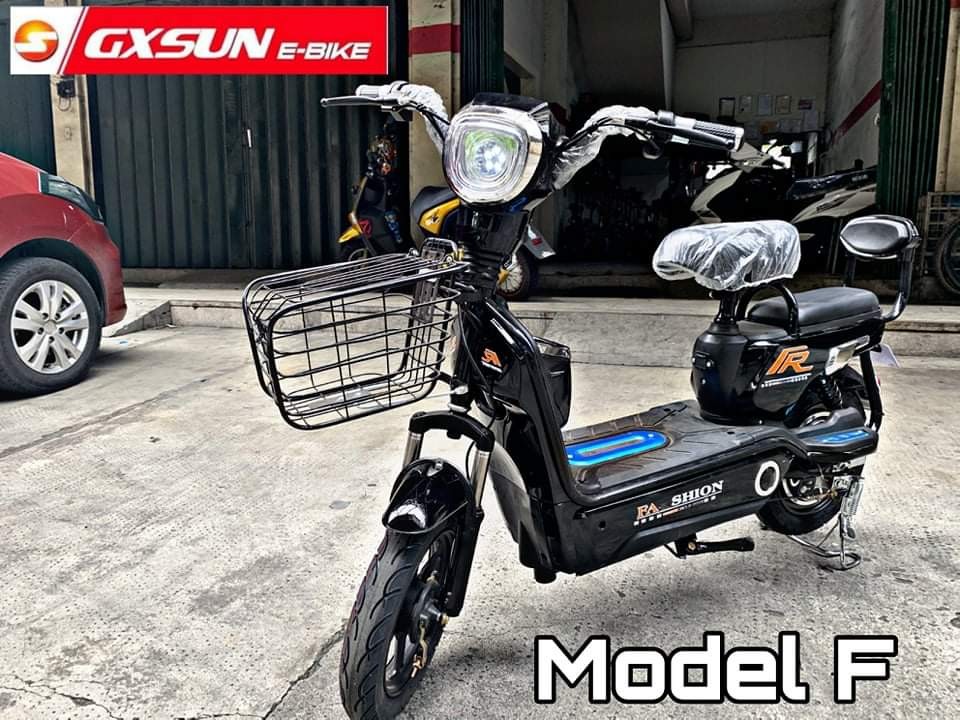 electric bike model