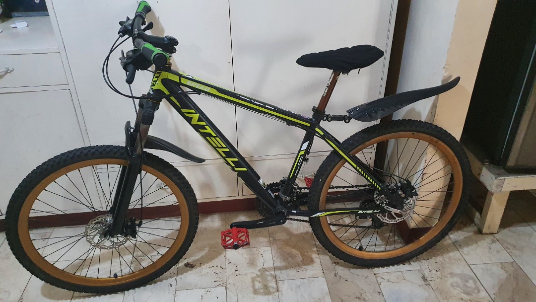 Intelli fat top bike price