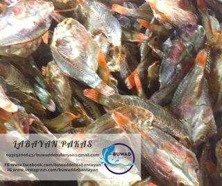 Paka Paka Local Eats Others Carousell Philippines