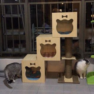 (Category: ) located in . Submitted by tobythecat (Listing ID 1027977575, Image 1). Description: .
