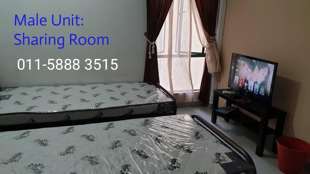 Single Sharing Room For Male Property Rentals On Carousell