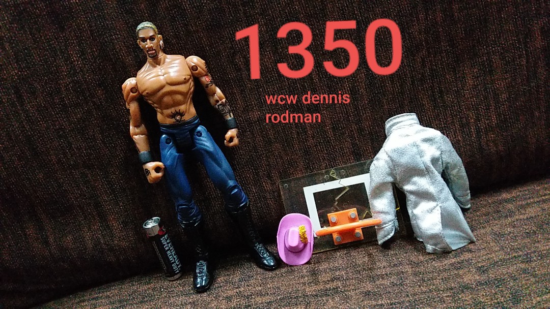 Dennis rodman sale wcw action figure
