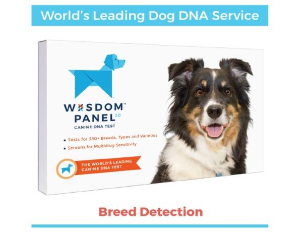 Wisdom Panel 3.0 Canine DNA Dog Test 