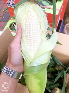 （分類：）位於 。 由 fruitstou 提交（商品編號 1028342918，圖片 1）。簡介： 。