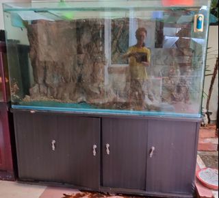 (Category: ) located in . Submitted by rina-p121 (Listing ID 1028381345, Image 1). Description: .
