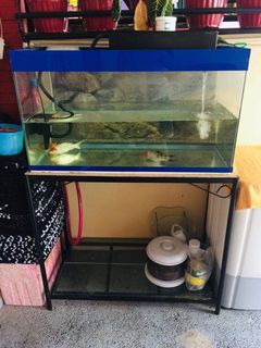 (Category: ) located in . Submitted by mjb0113 (Listing ID 1028330403, Image 1). Description: .