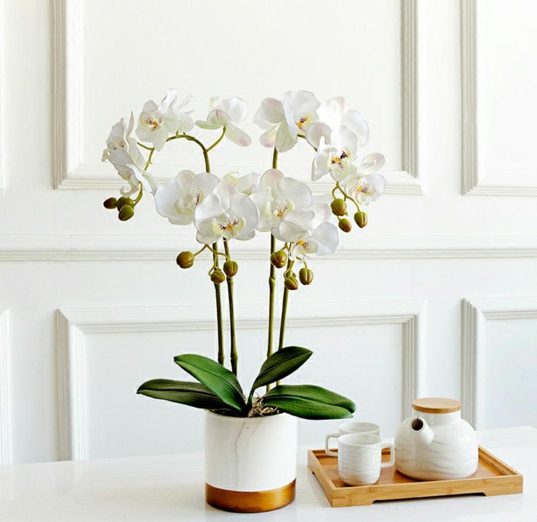 Artificial White Orchids Furniture Home Decor Others On Carousell