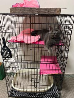(Category: ) located in . Submitted by carcarvromm (Listing ID 1028322916, Image 1). Description: .