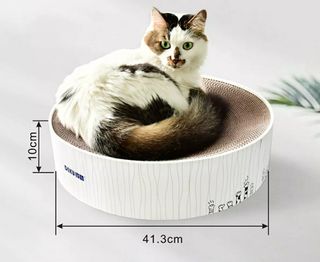 (Category: ) located in . Submitted by eggy_grooming (Listing ID 1028348076, Image 1). Description: .