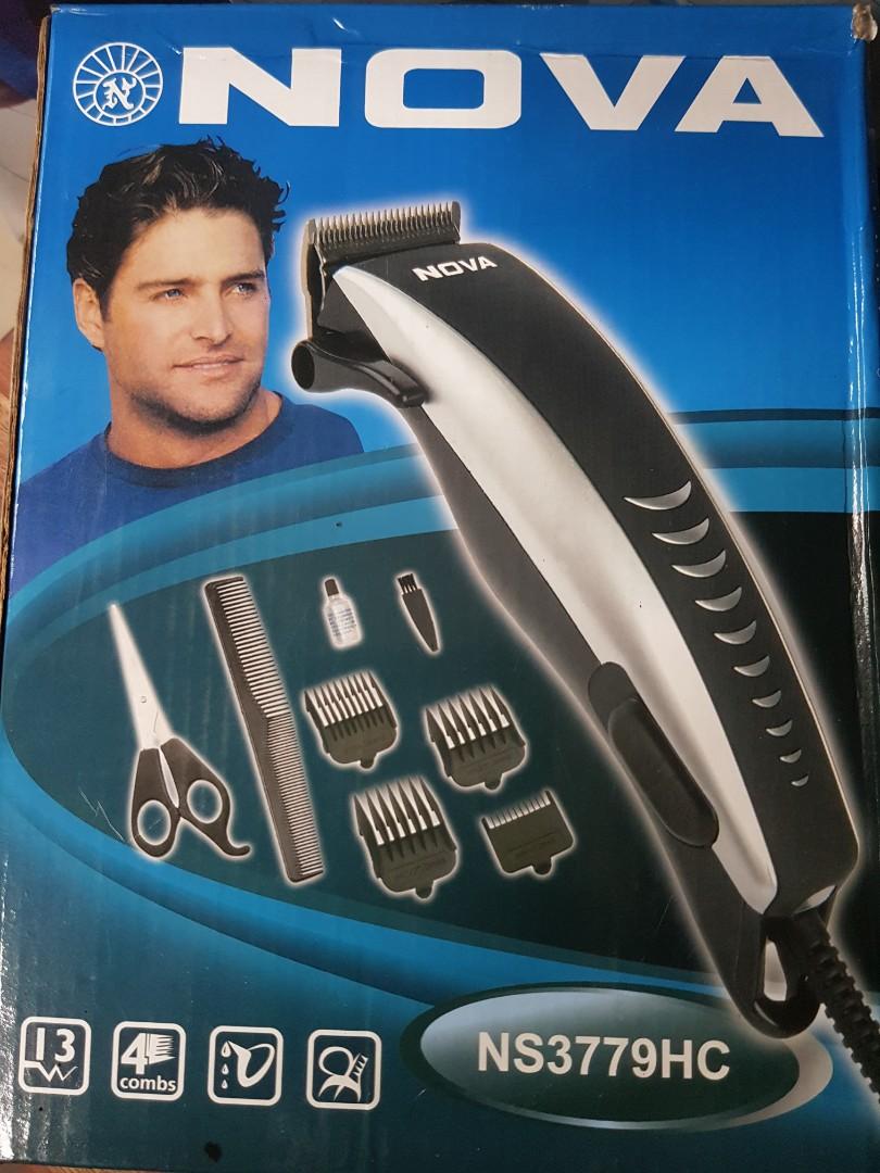 elevated liver enzymes in senior dogs