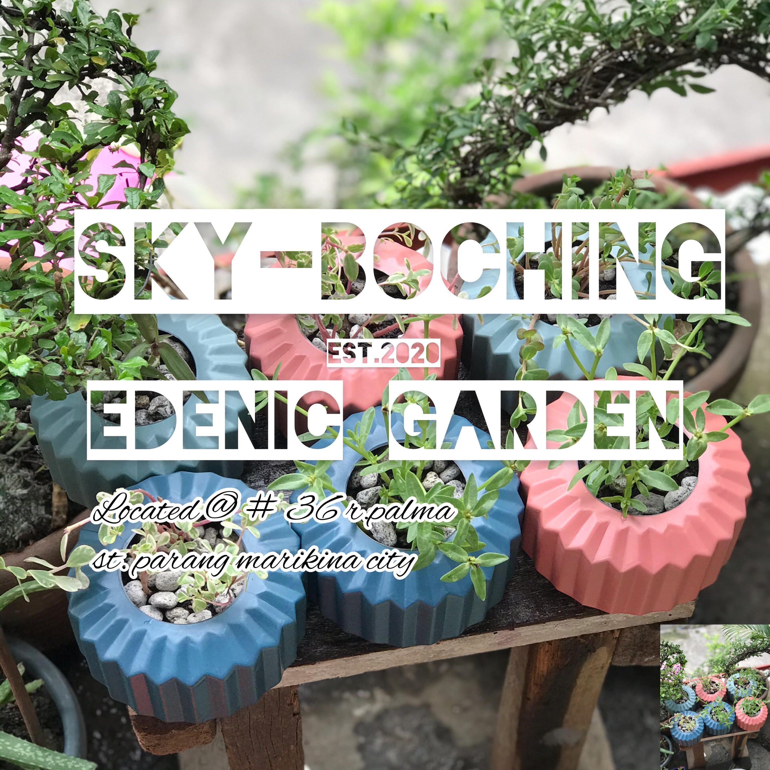 Plants For Sale Gardening Flowers Plants On Carousell