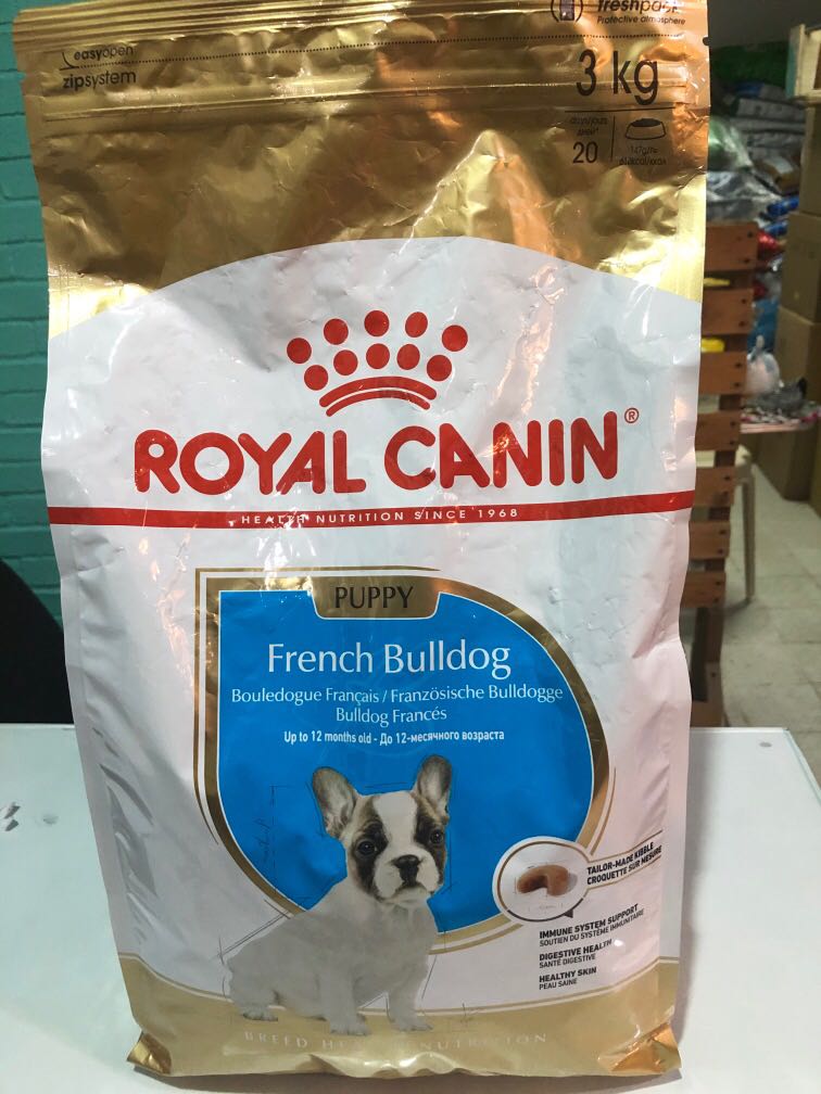 royal canin french bulldog puppy