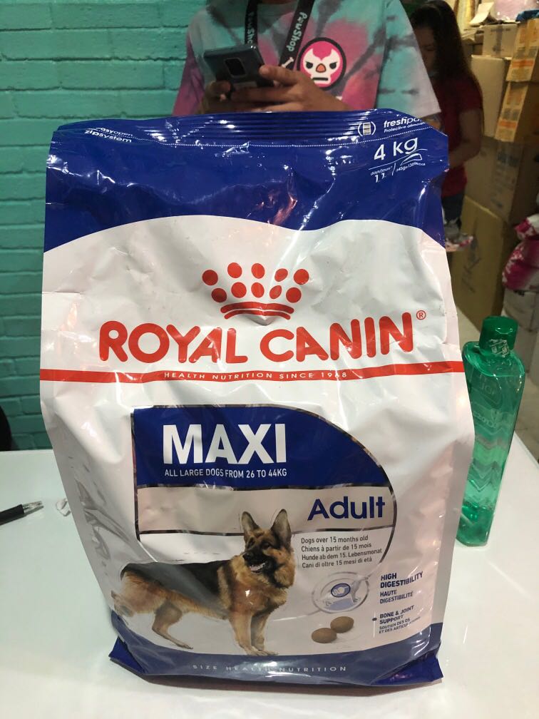 Royal Canin Maxi Adult 4kg Pets Supplies Pet Food On Carousell