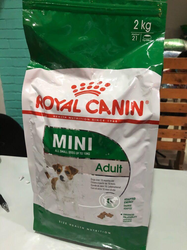 Royal Canin Mini Adult 2kg Pets Supplies Pet Food On Carousell