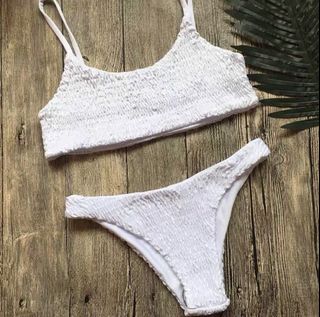 (Category: ) located in . Submitted by paper.plants (Listing ID 1028213199, Image 1). Description: .