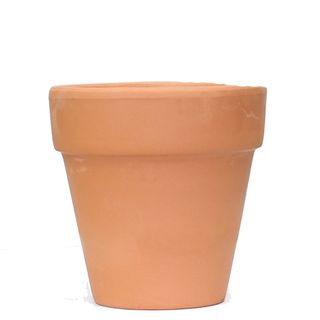 Orchid specialist Collection item 2