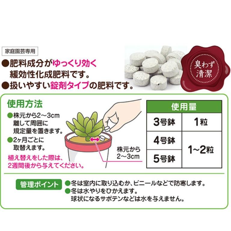 日本多肉專用顆粒肥料 傢俬 家居 Gardening Plants Carousell