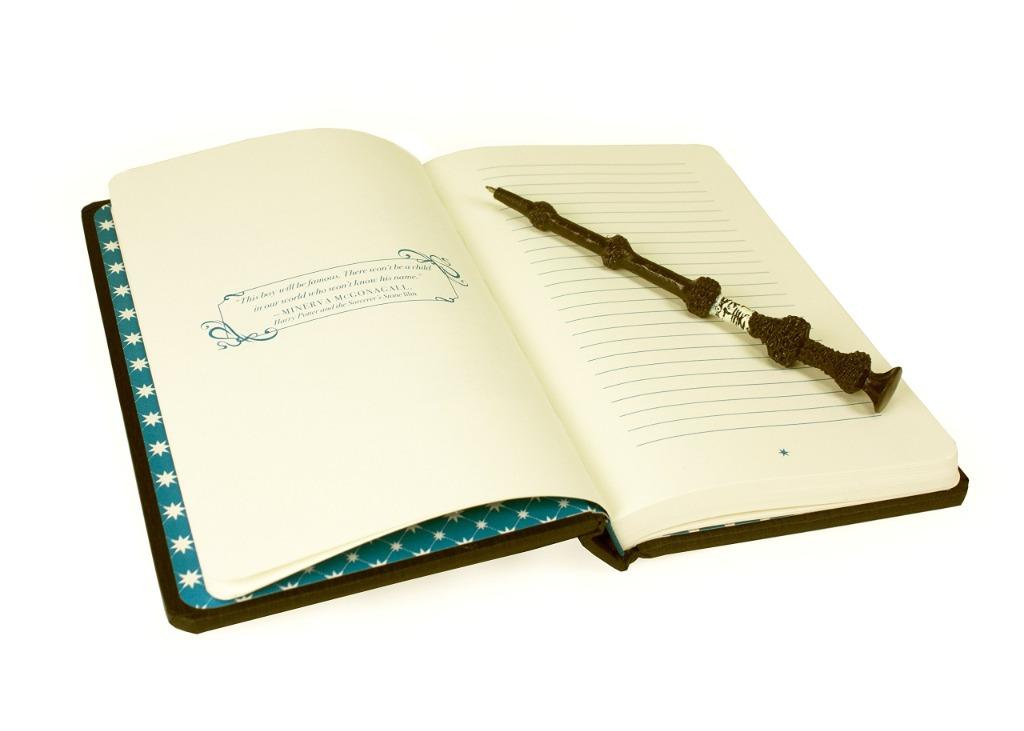 哈利波特儲思盆筆記本（收藏版） Harry Potter Pensieve Memory Set, 興趣及遊戲, 手作＆自家設計, 文具 ...
