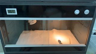 （分類：）位於 。 由 marman_store 提交（商品編號 1028641606，圖片 1）。簡介： 。