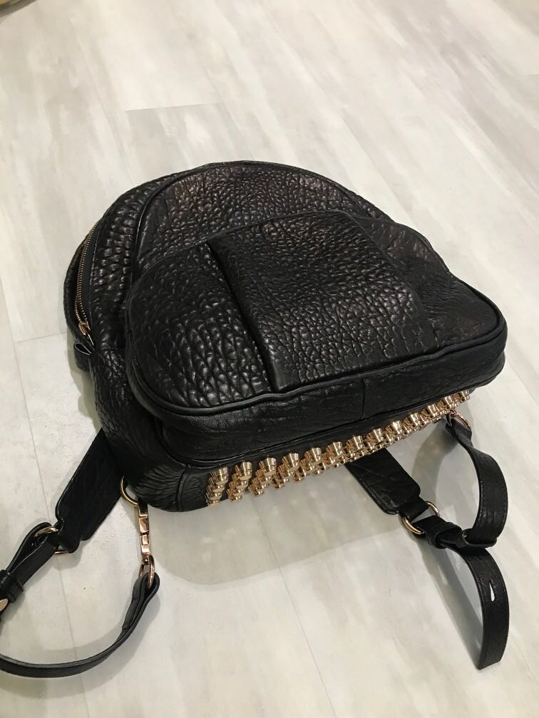 Alexander wang dumbo bag 2025