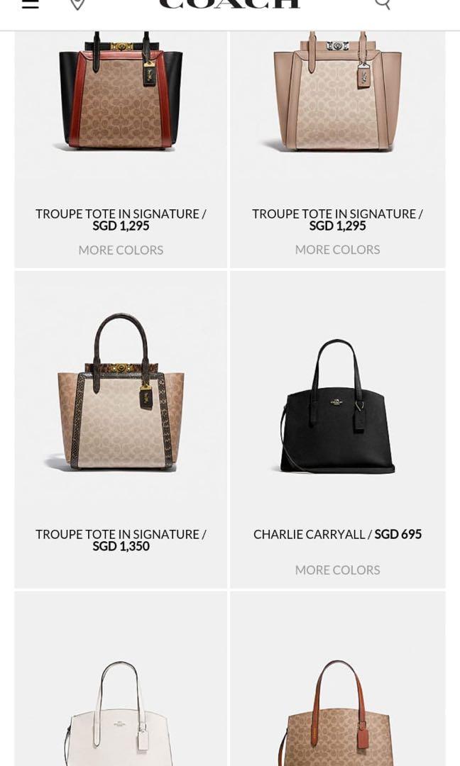 Troupe tote 16 in shop signature canvas with snakeskin detail