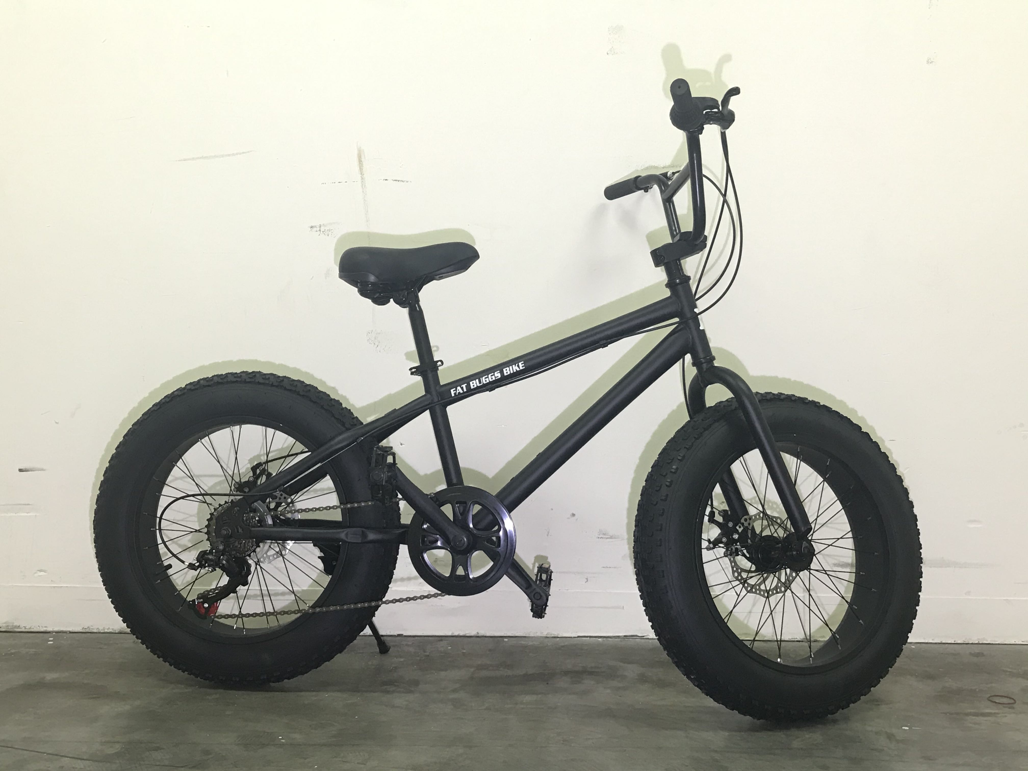 Fat Buggs Bike 20”, Sports Equipment 