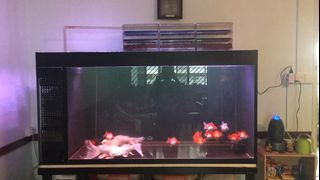 (Category: ) located in . Submitted by marco7831 (Listing ID 1028483293, Image 1). Description: .
