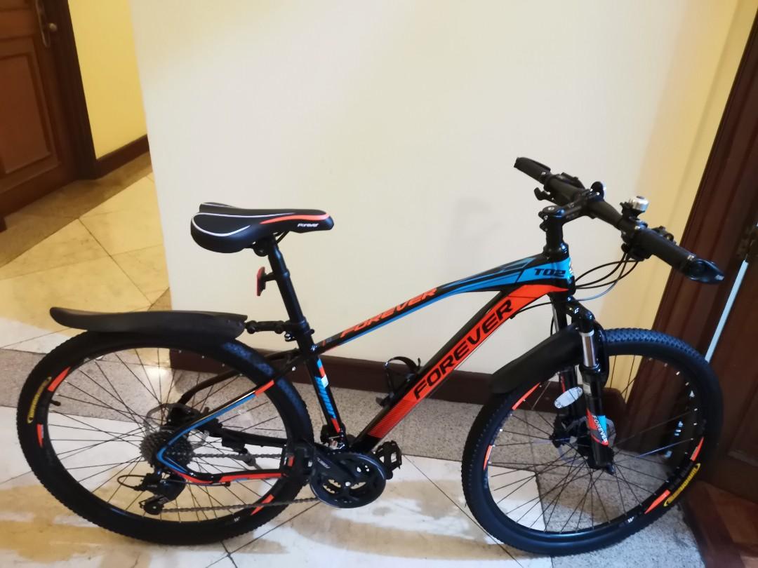 mountain bike forever