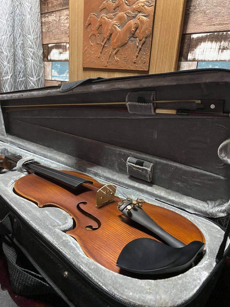 HOLLSTATTOバイオリン V-12 - 器材