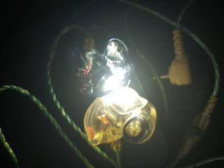 Jh audio 11 pro ciem
