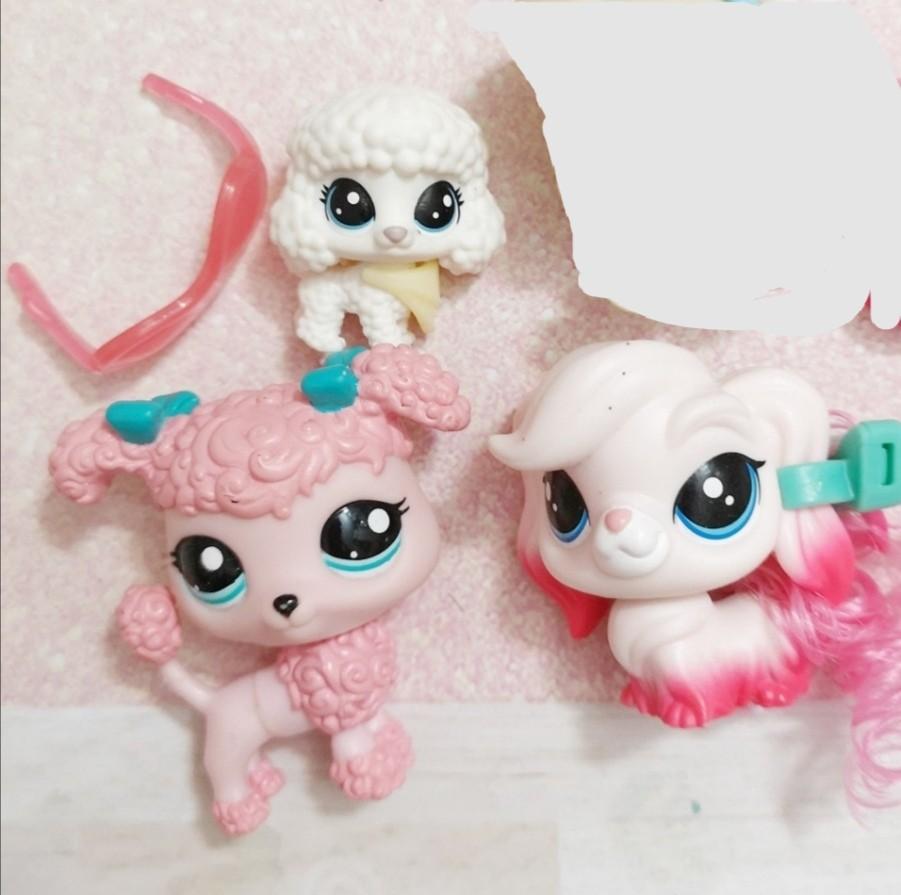 Littlest pet shop lps poodles dogs Hobbies Toys Toys Games on Carousell