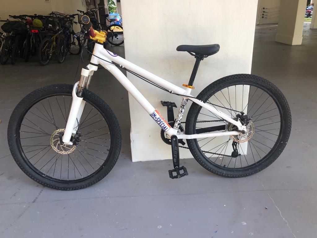 fireball mountain bike