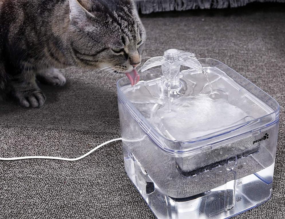 Pecute cat water fountain store