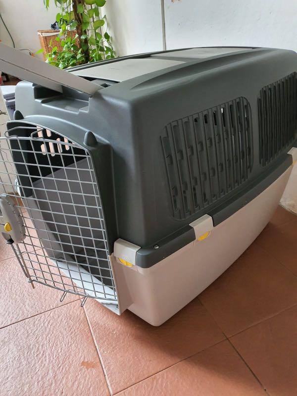 Stefanplast Gulliver 5 IATA Pet Carrier, Pet Supplies, Homes & Other