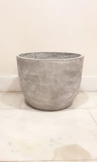(Category: ) located in . Submitted by succulent.yinn (Listing ID 1028713073, Image 1). Description: .